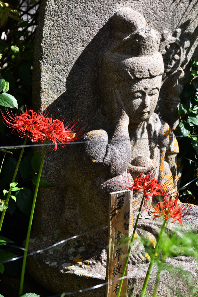 花の寺　般若寺　（０５）