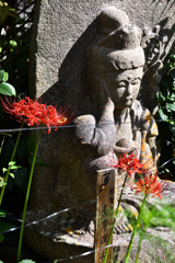 花の寺　般若寺　（０５）