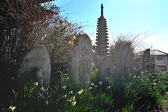 般若寺冬景色（６）