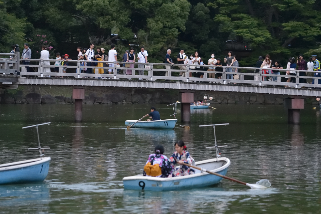 燈火を待つ人々