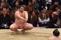 大好きな力士は休場中