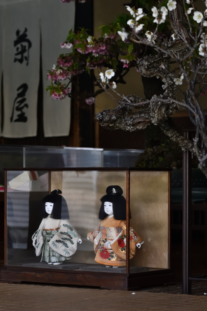 町家のひな祭り（１２）