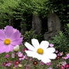 般若寺の石仏たち