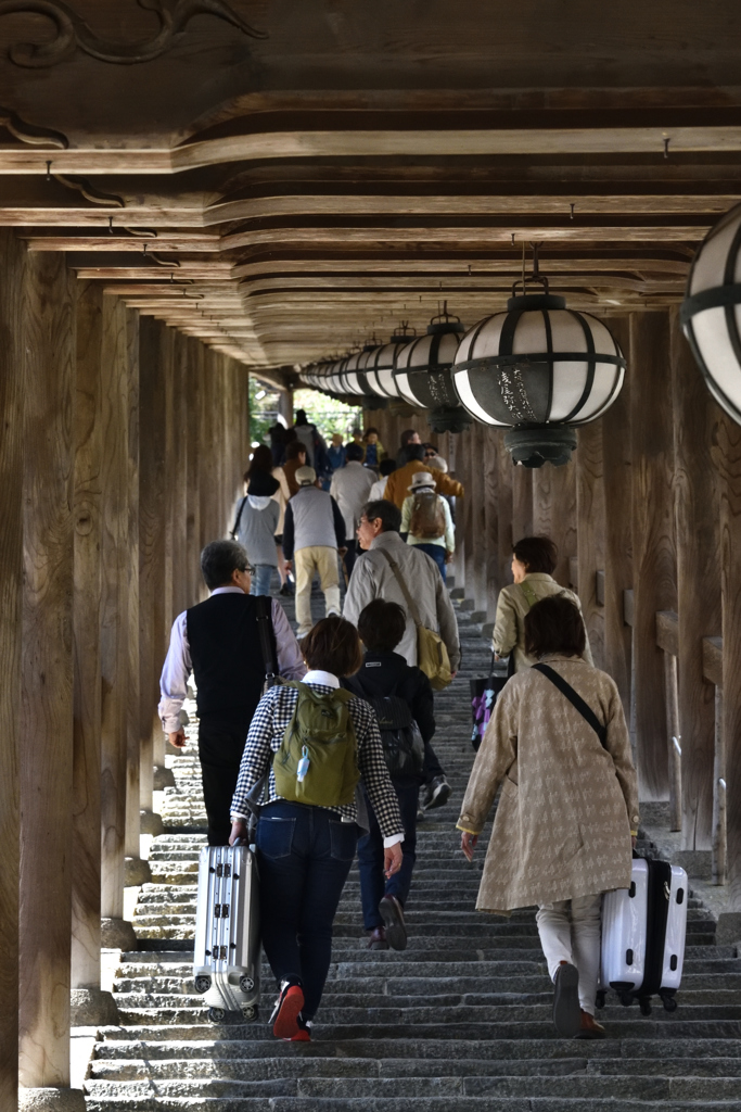 長谷寺の春（１１）