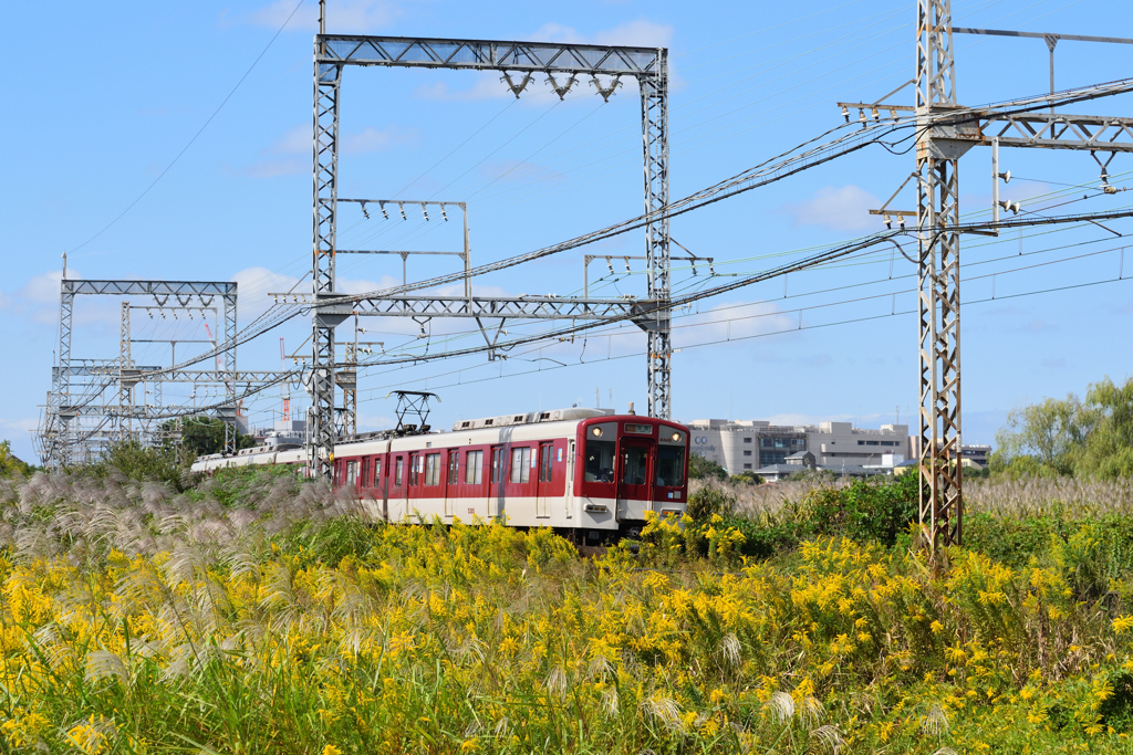 宮跡の中を走る