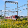 宮跡の中を走る
