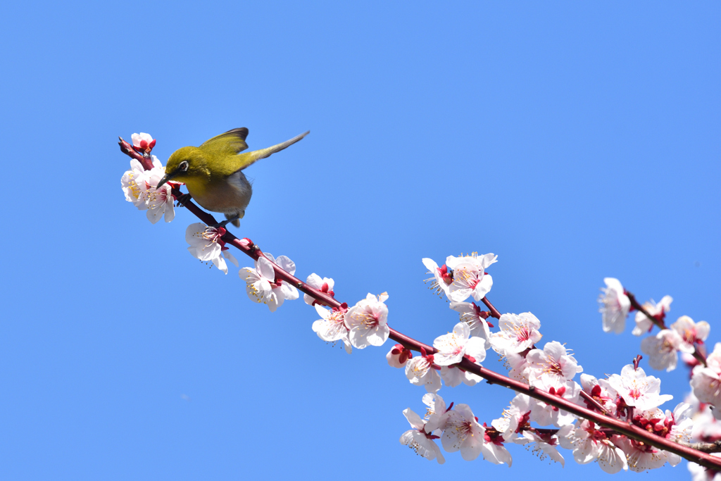 春の日差しの中で（６）