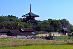 斑鳩町岡本の秋景色（１）