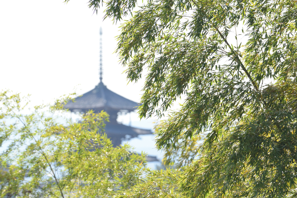 斑鳩の塔