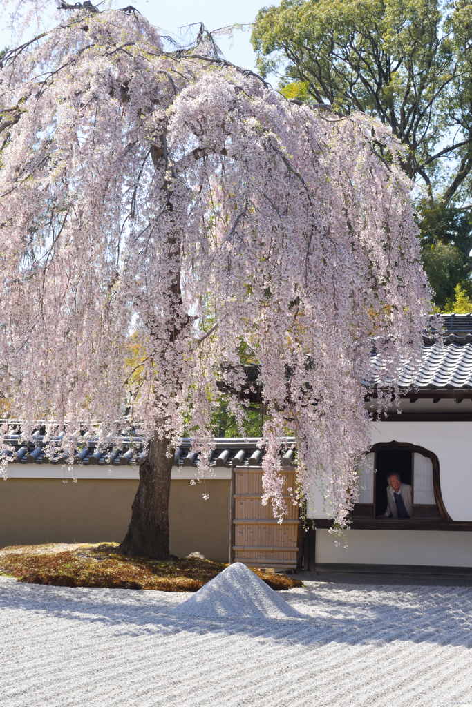 ねねの寺