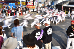 だんじり祭り（３）