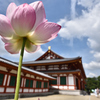 蓮花の薬師寺（１）