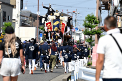 だんじり祭り（４）