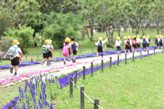 春の公園