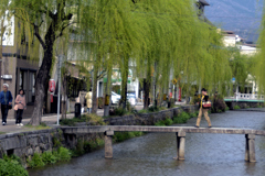 渡ってみたくなる橋　阿舎利橋