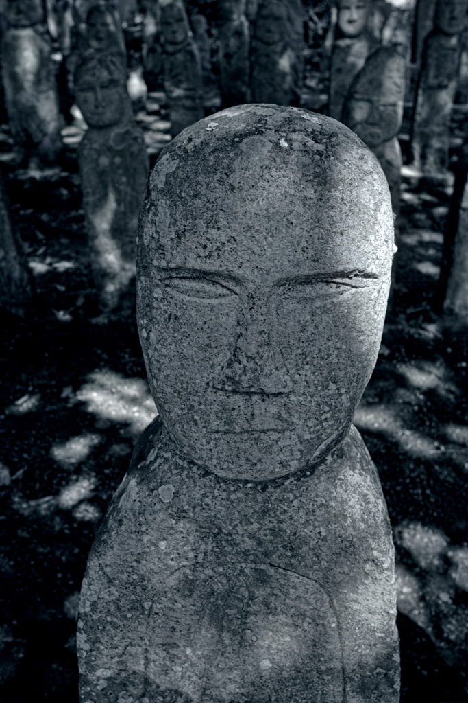 異国の兵士（１）