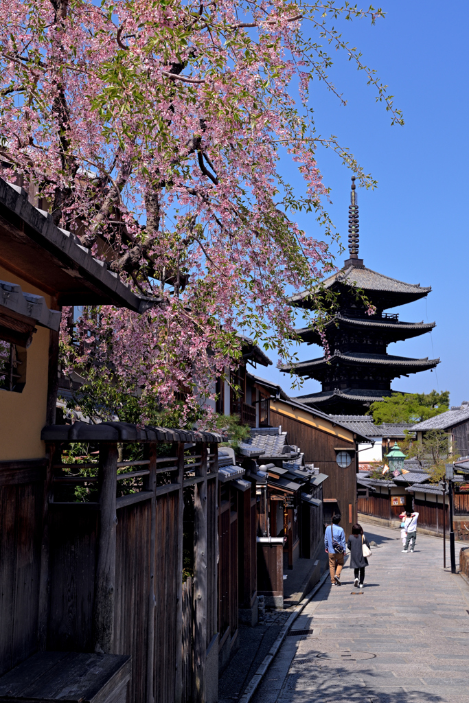 塔の見える風景（３）