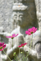 花と石仏（３）