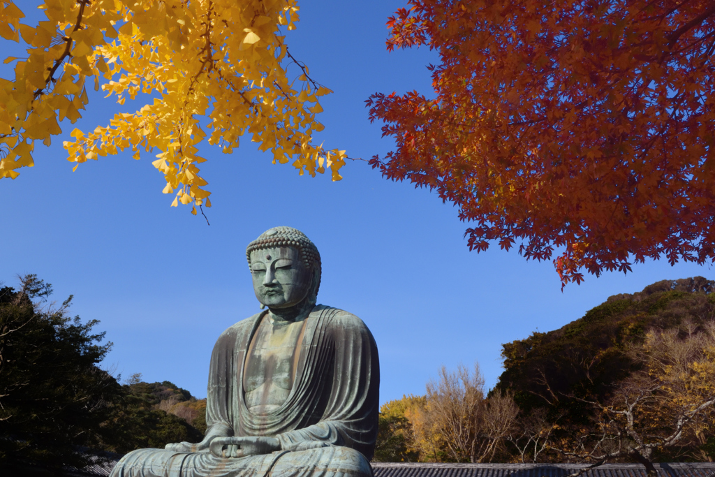 鎌倉大仏（５）
