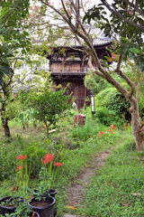 般若寺の秋（６）