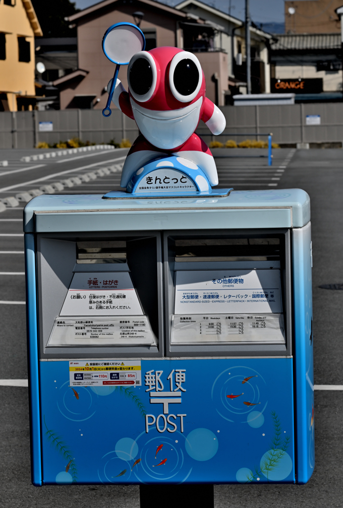 金魚を愛する街（８）