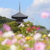 法起寺秋景色
