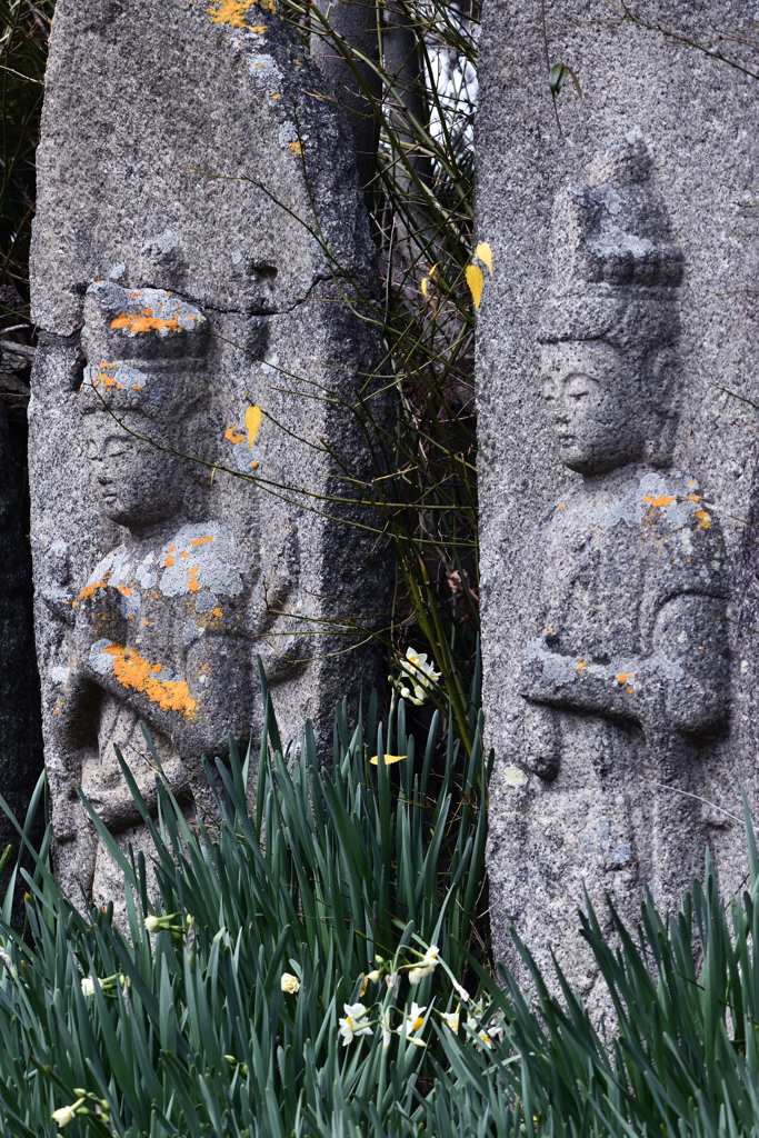 水仙と石仏（１）