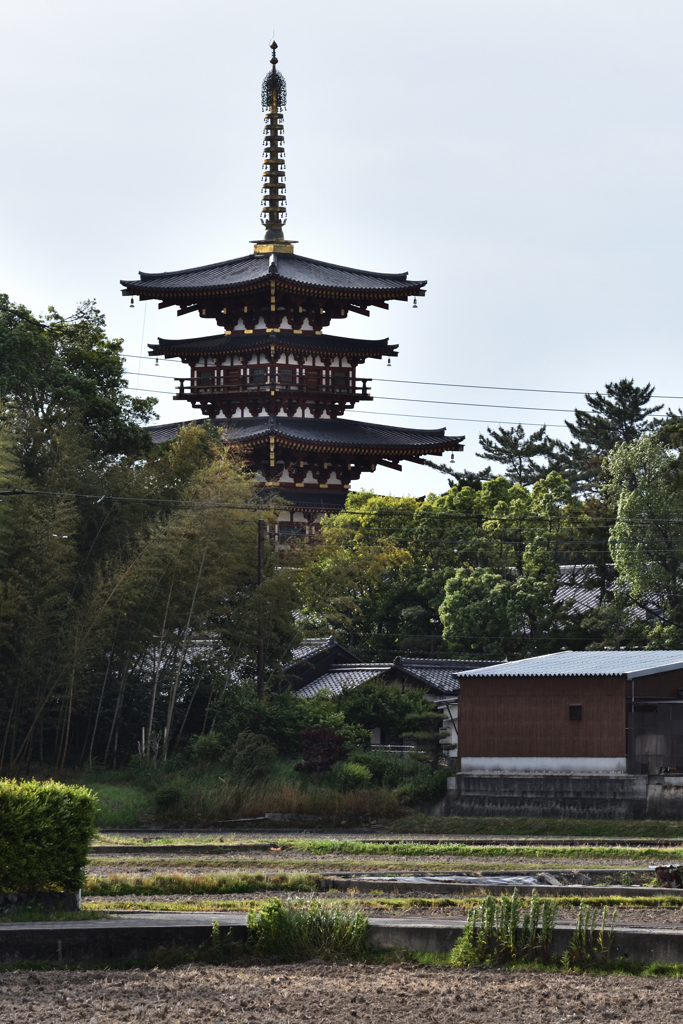 塔の見える光景（１）