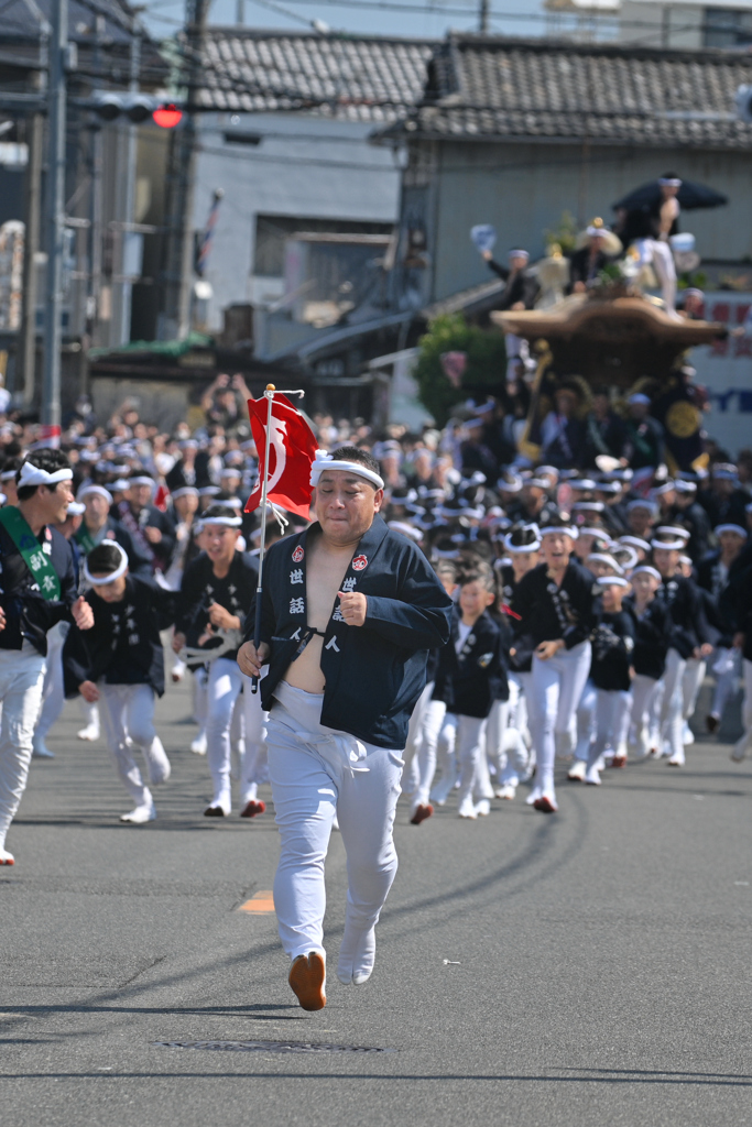 だんじり祭り（５）