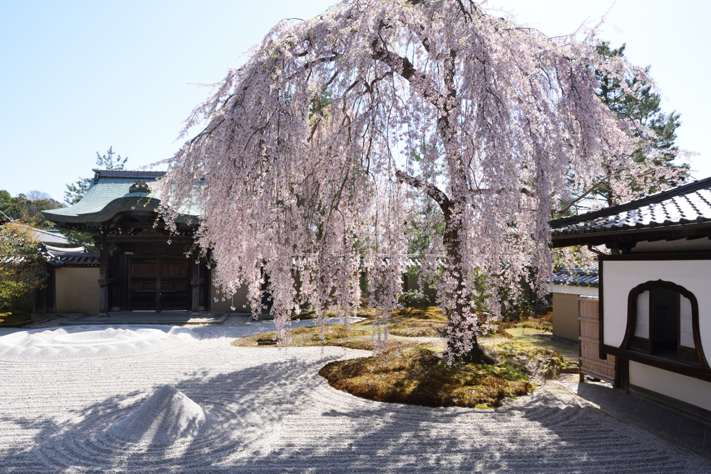 ねねの寺