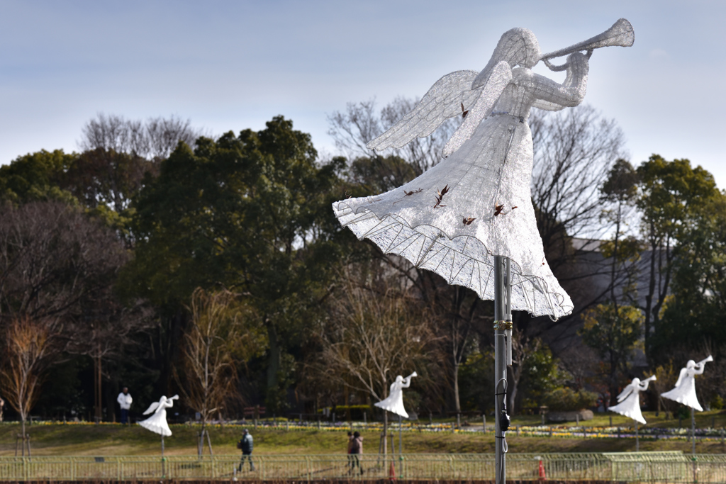 イルミの天使