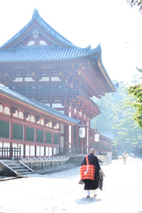 東大寺の朝景色