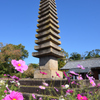 コスモスの咲く寺（０７）