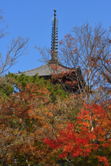 興福寺の五重塔（２）