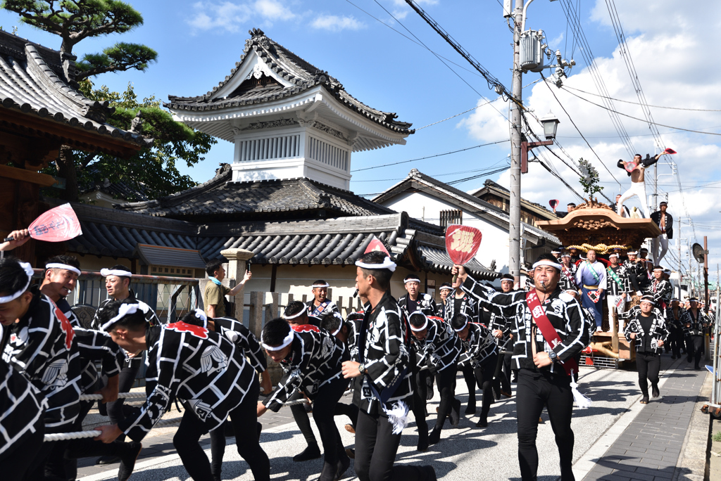 岸和田だんじり祭り（３）