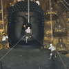 大仏様のお身拭い（２）トリミング前