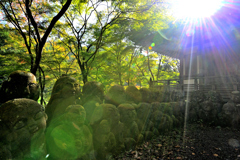 念仏寺の秋景色（２）
