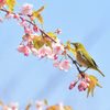 蜜を求めて（７）