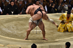 大相撲観戦（９）