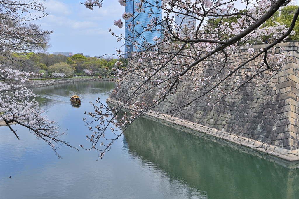 桜の咲く頃（１４）