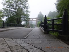 鹿沼