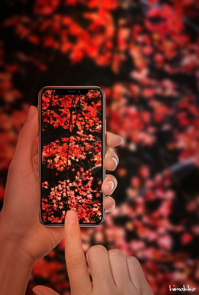 綺麗だった紅葉