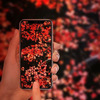 綺麗だった紅葉