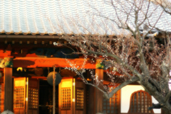 夕暮れ時