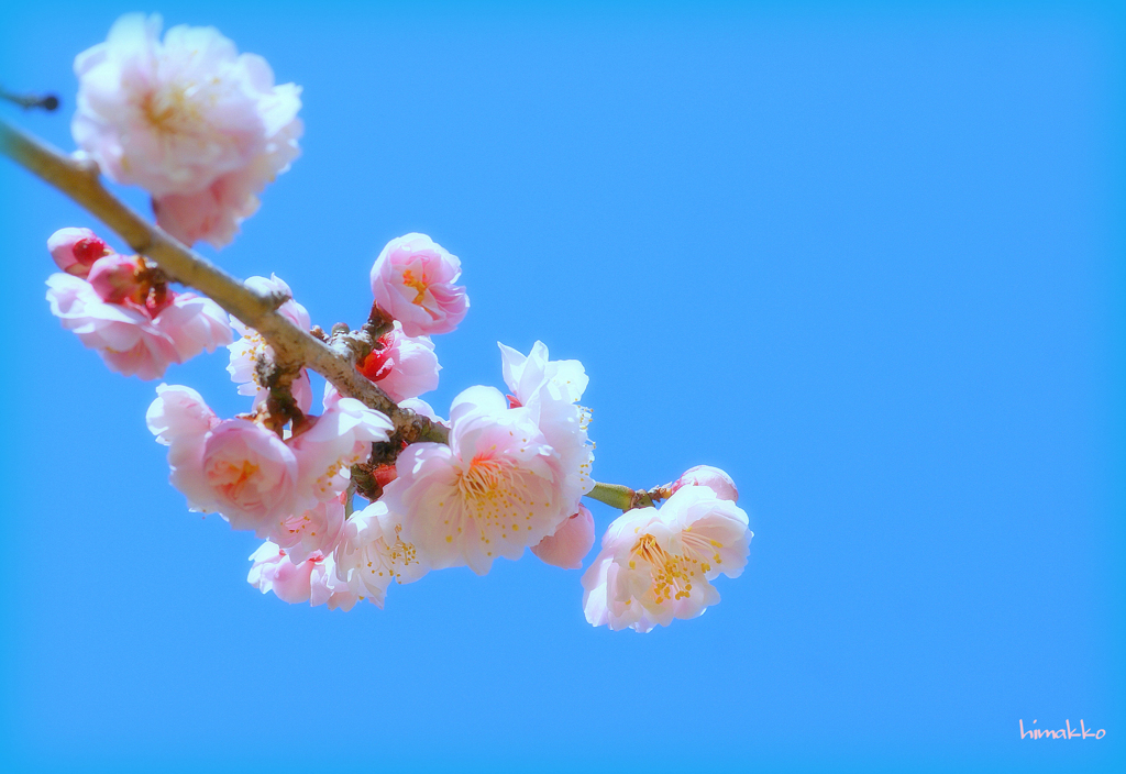 青空大好き♪気持ちいい～～～＾＾