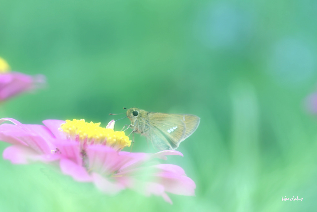 夢の中で会いました♪