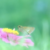 夢の中で会いました♪