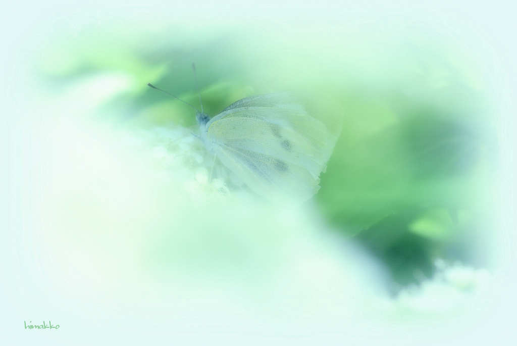 かくれんぼ