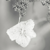 お花の色は…