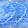 歩道に降る雪｡ﾟ※ﾟ雪｡ﾟﾟ｡ﾟ※｡